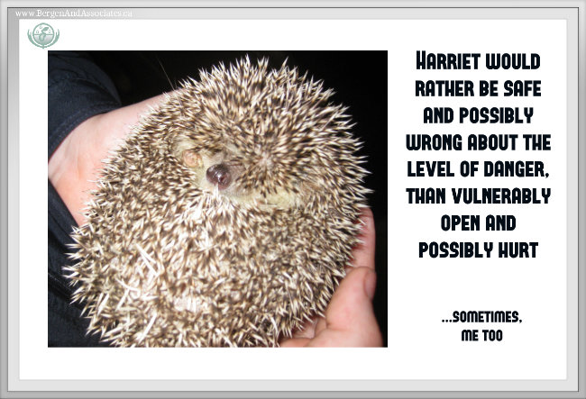 Harriet would rather be safe and possibly wrong about the level of danger, than open and possibly hurt. Sometimes...me to. Quote by Carolyn Klassen of Bergen and Associates